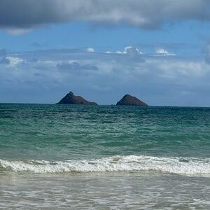 Meet your Posher Vintage Lux Resell